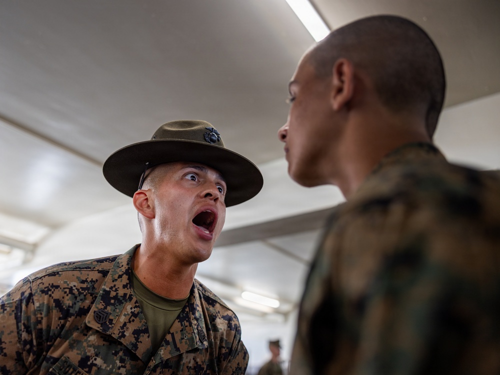 Charlie Company SDI Inspections