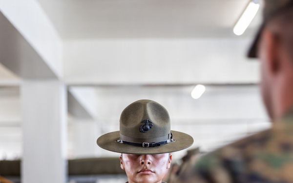 Charlie Company SDI Inspections