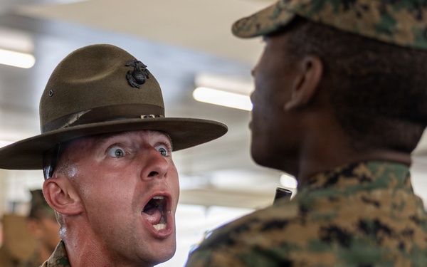 Charlie Company SDI Inspections