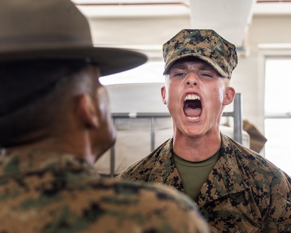 Charlie Company SDI Inspections