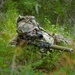 Combat Readiness Exercise 2026 at Camp Atterbury