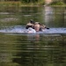 USARPAC Best Squad Competition 2026: Water Crossing Event
