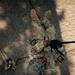 USARPAC Best Squad 2026 Rappel Tower