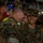 31st MEU returns to Okinawa after six-month deployment 31st MEU returns to Okinawa after six-month deployment