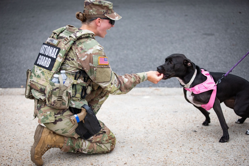 Iowa National Guard Fosters Trust During DC Safe and Beautiful