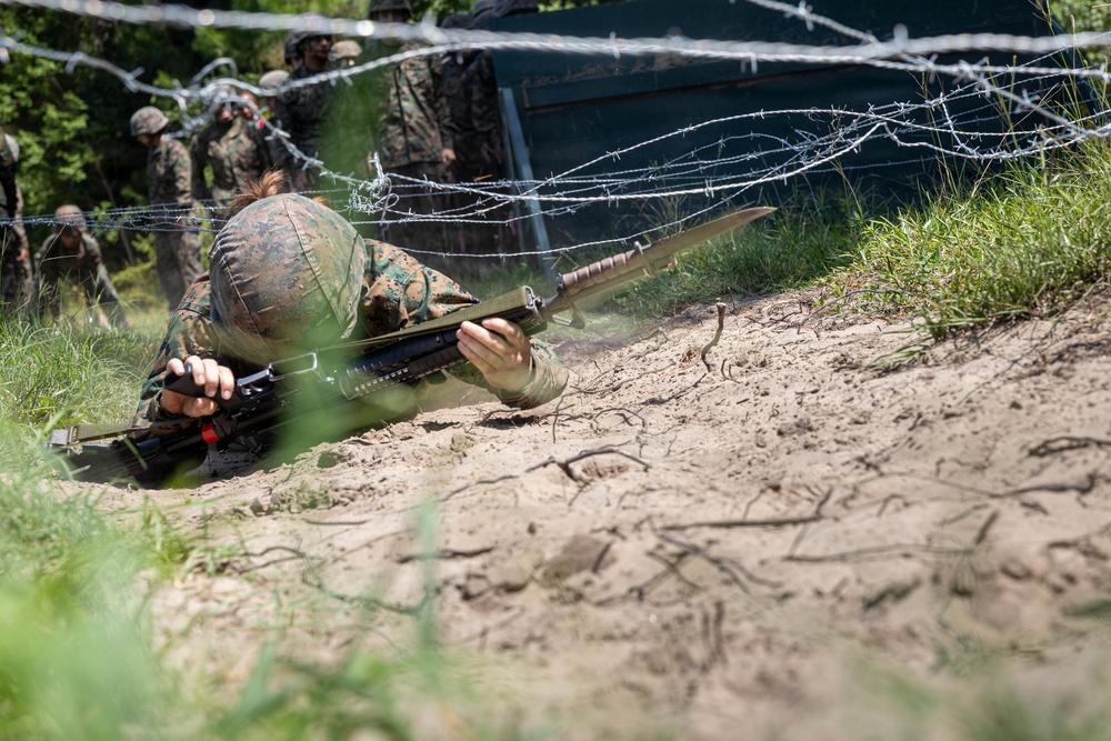 Delta Bayonet Assault Course