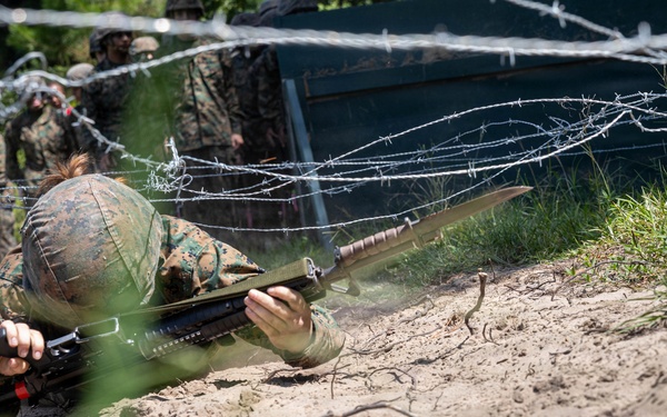 Delta Bayonet Assault Course
