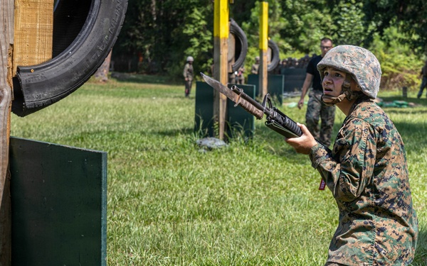 Delta Bayonet Assault Course