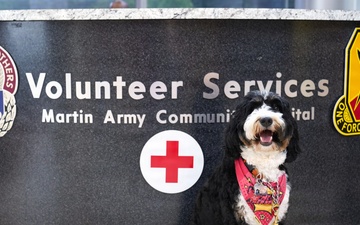 More Than a Therapy Dog: How Wednesday Became a Friend to an Entire Hospital