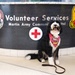More Than a Therapy Dog: How Wednesday Became a Friend to an Entire Hospital