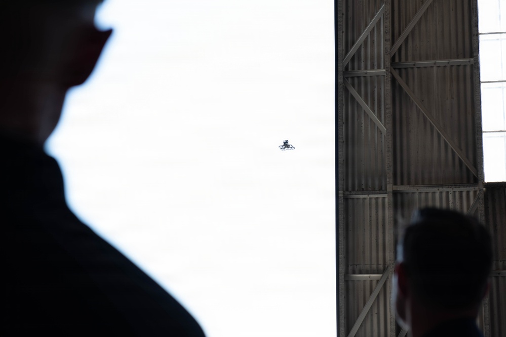 Game of Drones