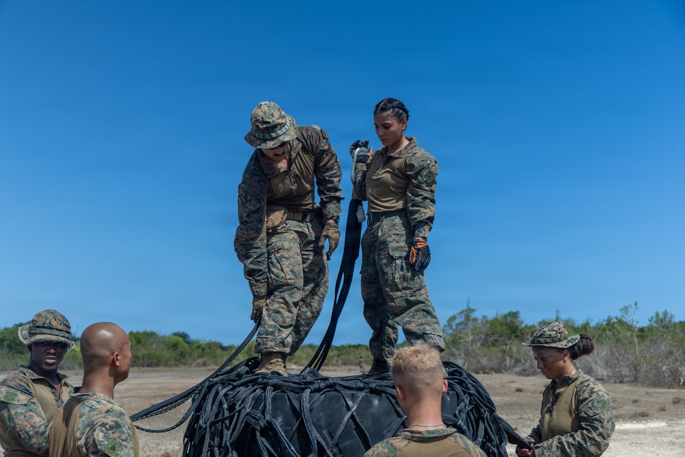 LCF-24: Helicopter Support Team