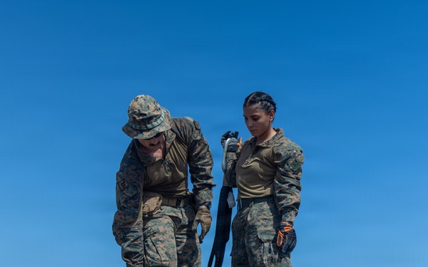 LCF-24: Helicopter Support Team