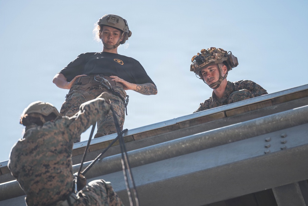 EOTG HRST Course: Rappel Tower