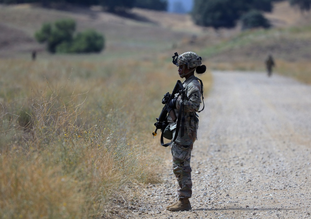 Forging the Battlefield: Army Reserve Engineers Train with Volcano System at Operation Bold Eagle