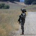 Forging the Battlefield: Army Reserve Engineers Train with Volcano System at Operation Bold Eagle