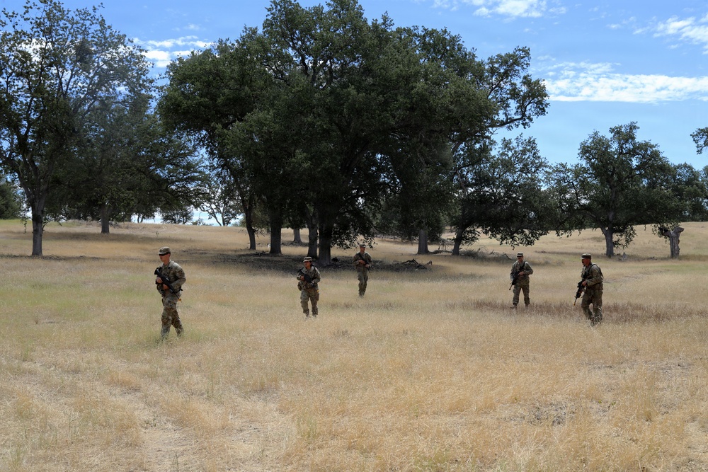 Forging the Battlefield: Army Reserve Engineers Train with Volcano System at Operation Bold Eagle