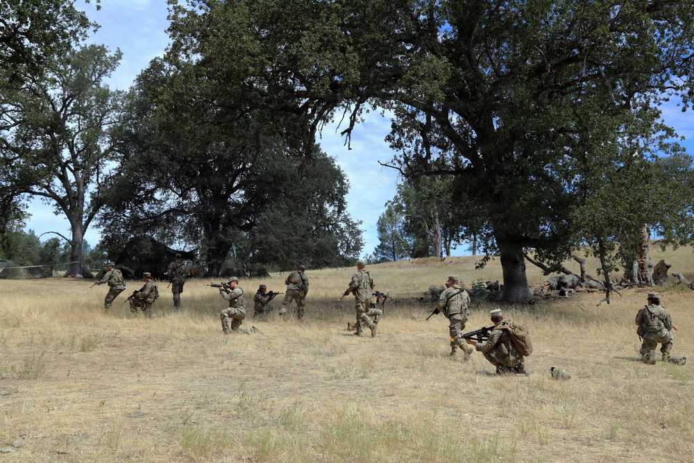 Forging the Battlefield: Army Reserve Engineers Train with Volcano System at Operation Bold Eagle
