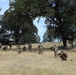 Forging the Battlefield: Army Reserve Engineers Train with Volcano System at Operation Bold Eagle