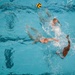 Air Force Special Warfare Water Confidence Training
