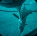 Night/day: B-1 comes out to play