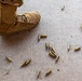 U.S. Air Force Academy Basic Cadet Training CATM Firing Range