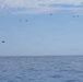 EOD Technicians conduct jump training