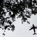 Military Aircraft Fly Over Washington, D.C., During America 250 Celebrations