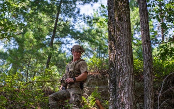 Audacious Warrior offers collaboration and continuous learning