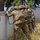 USARPAC Best Squad Competition 2026:  Force on Force Urban Operations