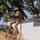 USARPAC Best Squad Competition 2026:  Force on Force Urban Operations