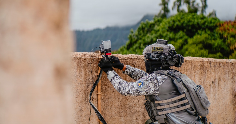 Multinational EOD technicians participate in an IED response drill