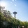 Service Members Explore Seattle During Fleet Week