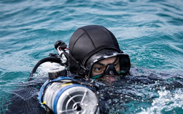 Behind the Dive: The Teams Keeping Sea Breeze 26 Afloat