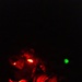 USARPAC Best Squad Competition 2026: Night land navigation
