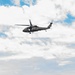 Bambi Bucket Training