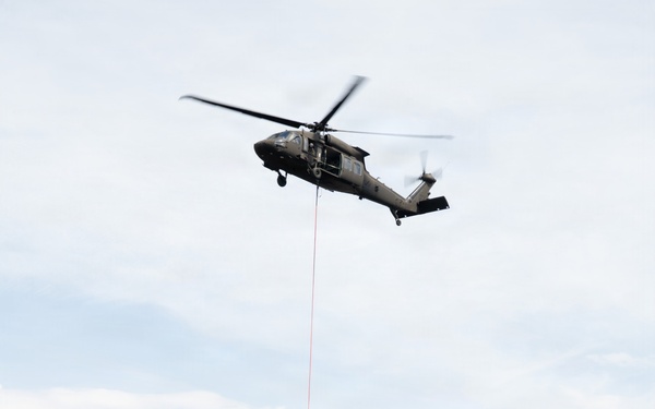 Bambi Bucket Training