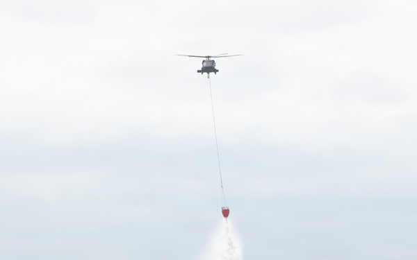 Bambi Bucket Training