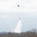 Bambi Bucket Training