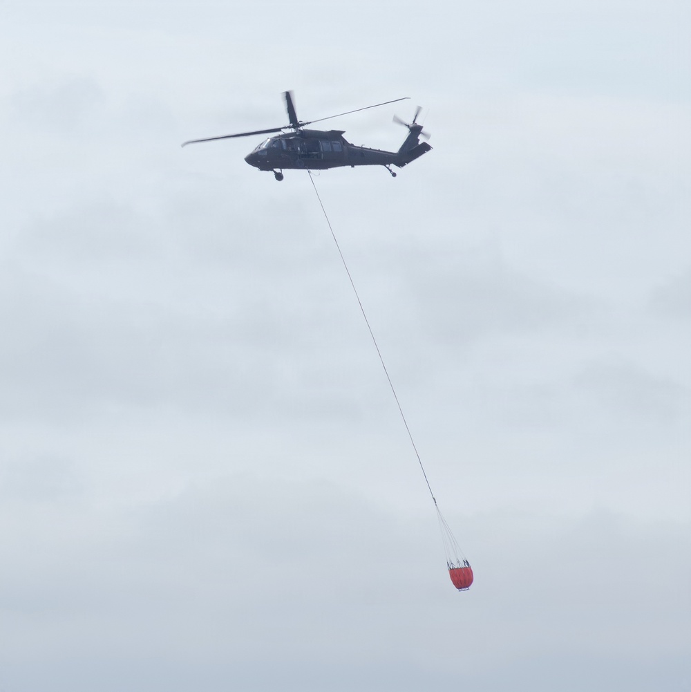 Bambi Bucket Training