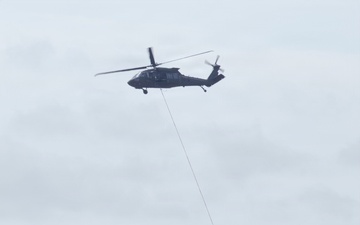 Bambi Bucket Training