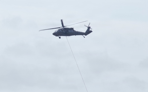 Bambi Bucket Training