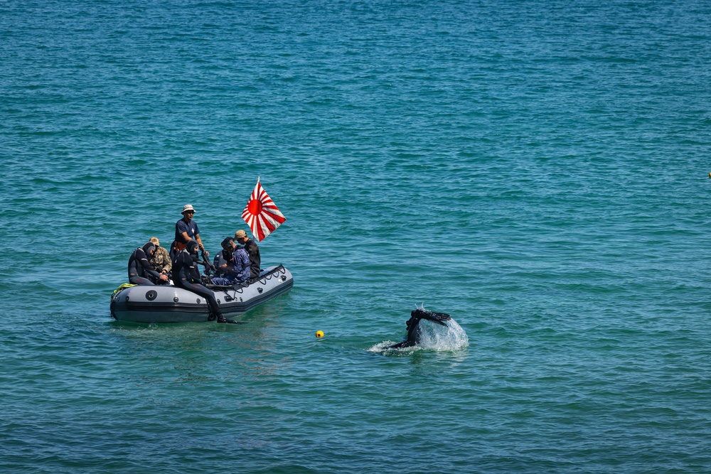 Members of the Japan Maritime Self-Defense Force and Georgian Coast Guard conduct dive training during Seabreeze26