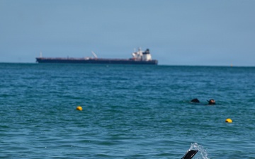 Members of the Georgian Coast Guard conduct dive training during Seabreeze26