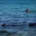 Georgian Coast Guard members conduct dive training during Seabreeze26