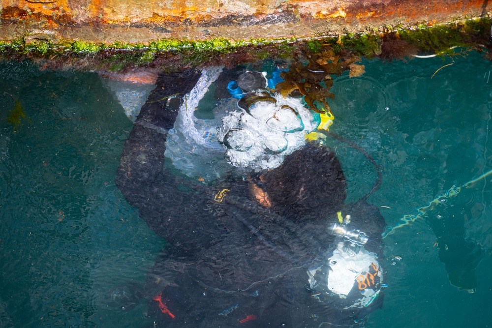 U.S. Navy EOD2 Derrick Sosa conducts underwater IED dive training during Seabreeze26