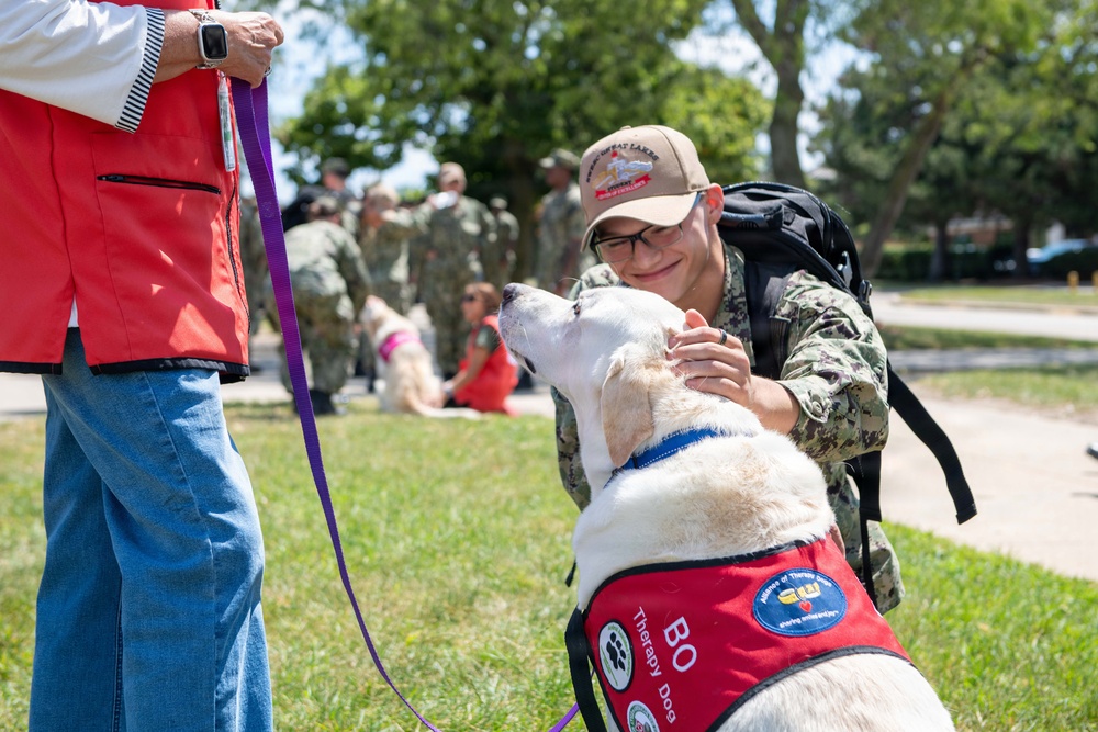 Therapy Dogs visit NSGL