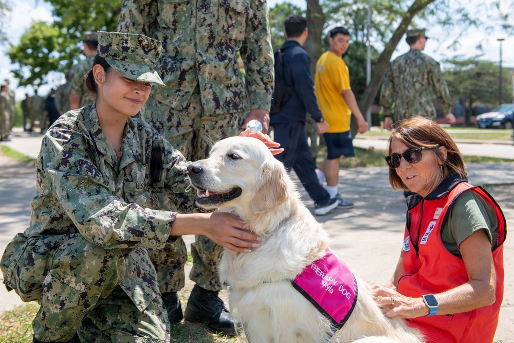 Therapy Dogs visit NSGL