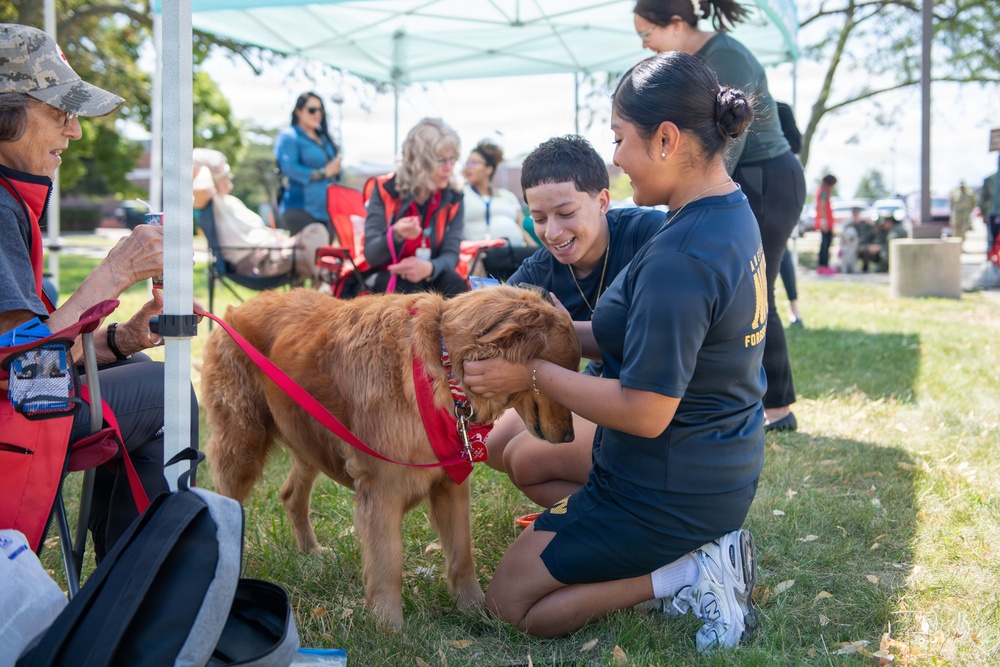 Therapy Dogs visit NSGL