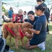 Therapy Dogs visit NSGL